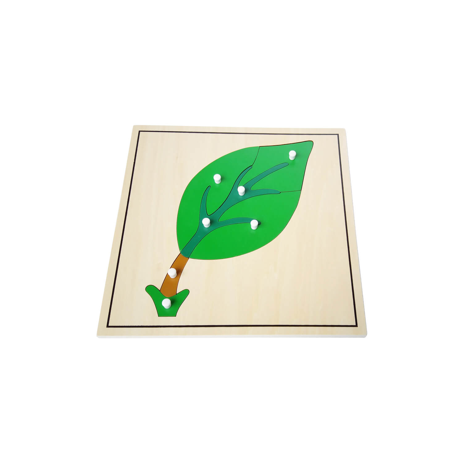 NEW Montessori Botany Material-NEW PLYWOOD Parts of a Leaf Puzzle
