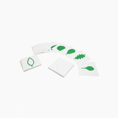 Leaf Cards: 24 Leaf shape